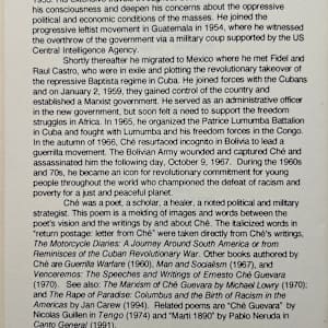 Letters to Che by Melba Joyce Boyd, Maya Wynn Boyd, Image 7.