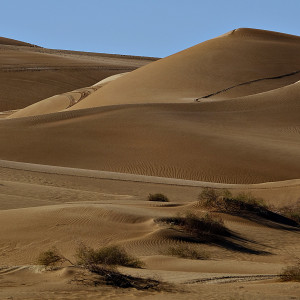 Sand Dunes, Yuma, Arizona #60 by James McElroy