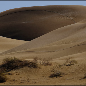 Sand Dunes, Yuma, Arizona #71 by James McElroy