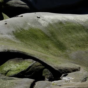 The Grandfather Series - Galiano Island 2019 - 9