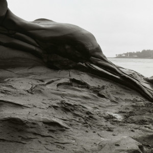 Grandfather Series (Galiano Rock Formations) - #005 by James McElroy