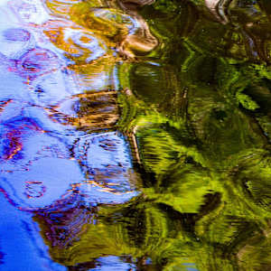 Pond Cells by Ruth Clegg