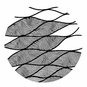 Duality by Philippe Dwyer, Image 4.