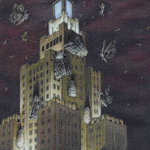 Spongy Moth Infestation by Katy Scudieri