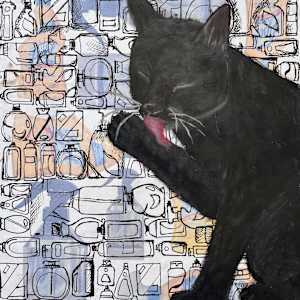 Cleaning Disruptors by Molly Vanderlaan