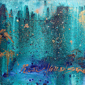 Rise/Wild/Star by Gregory Siff, Image 2.
