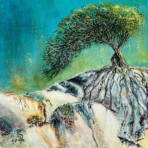 Limestone + Hawthorn by Eithne O'Riordan