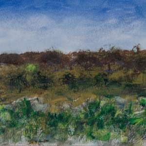 Old Wall by Gregory Anderson