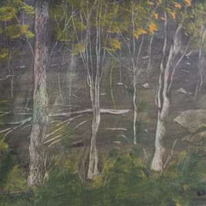 Fallen Tree by Gregory Anderson