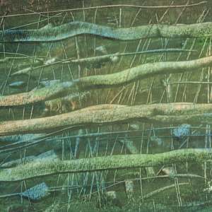 The Pasture by Gregory Anderson