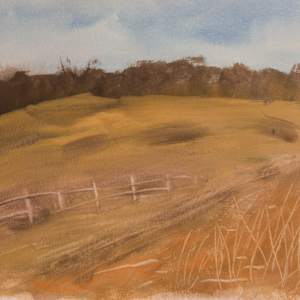 Emery O Ranch v. 2 by Gregory Anderson