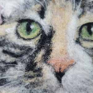 Sour Patch by Darci Lenker 