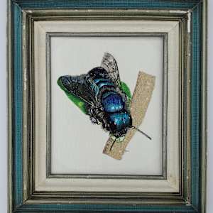 Blue Bee by Darci Lenker, Image 1.