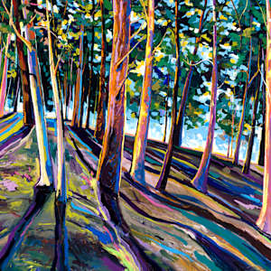 Ponderosa Magic by Emily Dwan, Image 1.