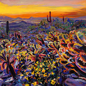 Sonoran Desert 48X48" by Emily Dwan, Image 1.