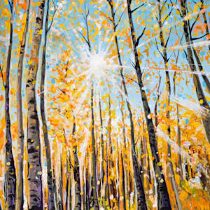 Sunshine Aspens by Emily Dwan, Image 1.