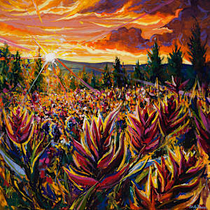 Wildflower Dance 48X48" by Emily Dwan, Image 1.