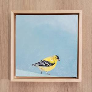 Goldfinch by Barbara Henris