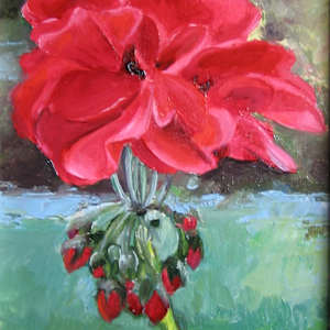 Geranium by Barbara Henris