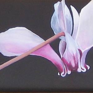 Last Bloom by Barbara Henris