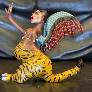 Flying Tiger Witch by Damien Y Beatriz Morales 