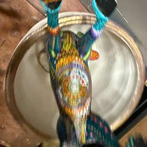 Mandala Chihuahua by Margarito Melchor Fuentes 