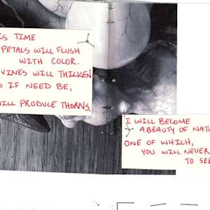 DECOMPOSE zine 2 by Becca Lewis 