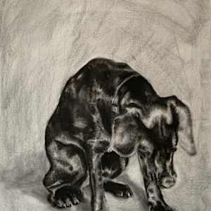 Charlie by Becca Lewis