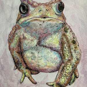 Toad by Becca Lewis