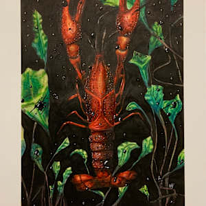 Crayfish by Becca Lewis