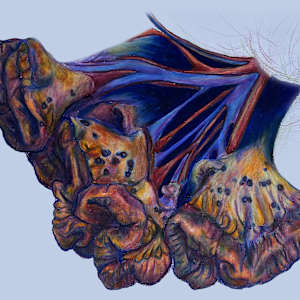 Still Life by Becca Lewis