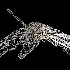 Anatomical snuffbox by Becca Lewis  Image: Available as a print