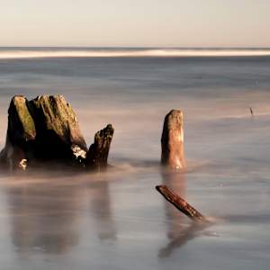 The Beaches are Moving by George H Wood