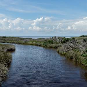 Old Quarks Creek by George H Wood