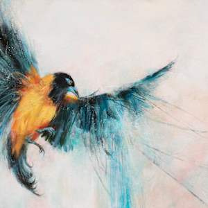 Trupial ta kanta bonita by Jen Singh