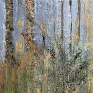 Over the Fence 2 by Susan G Stewart