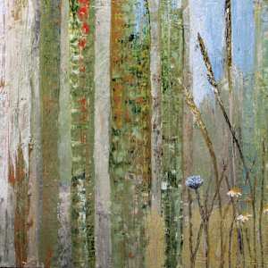 Over The Fence by Susan G Stewart