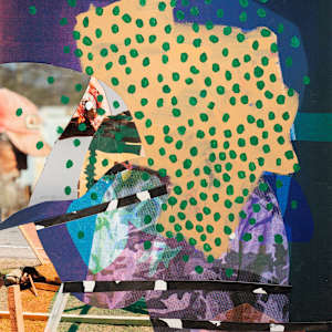 Ghillie Cloak 10 by Jordan Martins, Image 6.