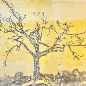 (Tree Portrait #50b) Arms Reach Out II by MK Wynn