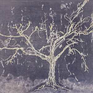 (Tree Portrait #50) Arms Reach Out I by MK Wynn