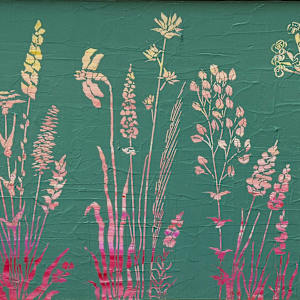 Floriferous by Aimee Maschhoff