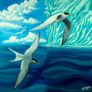 Arctic Terns by Marissa Kayne Saurer