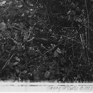 Threshold by Nancy McEntee, Image 1.
