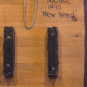 New Need by Leslie Nichol 