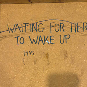 Waiting For Her To Wake Up by Leslie Nichol 