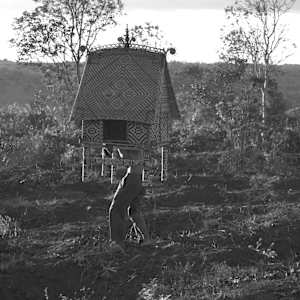 A Humble Cottage, in Palm-of-the-hand moving image by Thảo Nguyên Phan