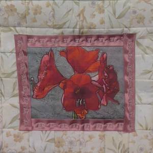 Amaryllis by Katrina Sjoberg 