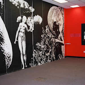 Genetics/Memetics, 2002. room installation at Artomatic, Washington, DC by Patricia Buck, Image 1.