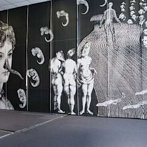 Genetics/Memetics, 2002. Partial installation view at Artomatic in Washington DC by Patricia Buck, Image 7.