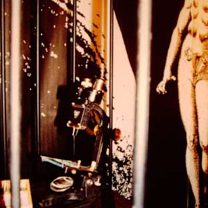 Genetics/Memetics: detail, a vintage microscope in a constructed jail. by Patricia Buck, Image 1.